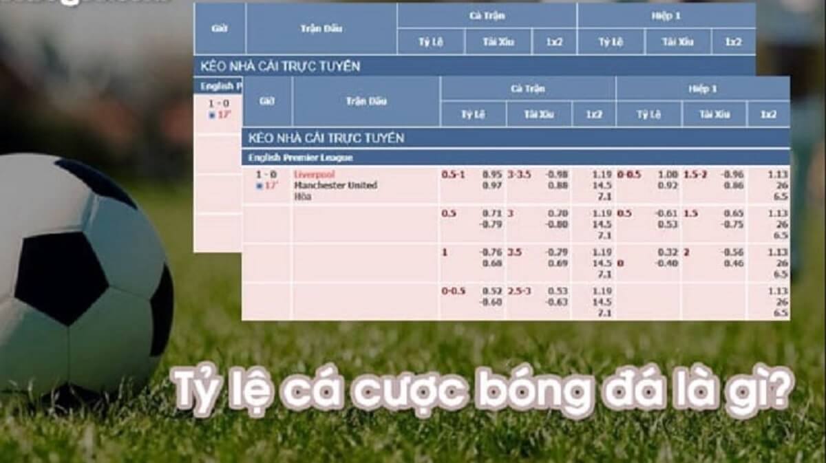May88 bật mí bí quyết nhận định kèo tỷ số