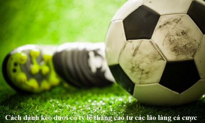 Tỷ lệ thắng kèo đòng banh của người chơi rất cao tại May88