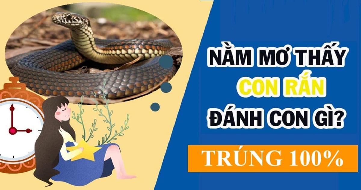 May88 club giải mã giấc mơ